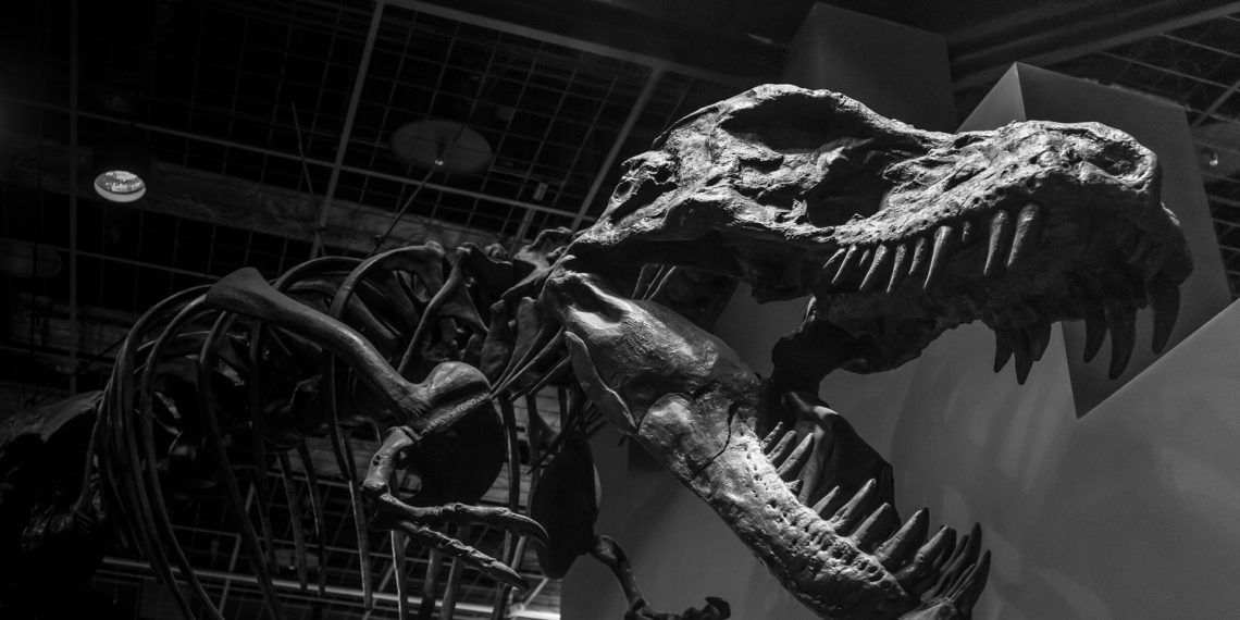 Museum Security Specialists Are Artists Too, and Here’s Why