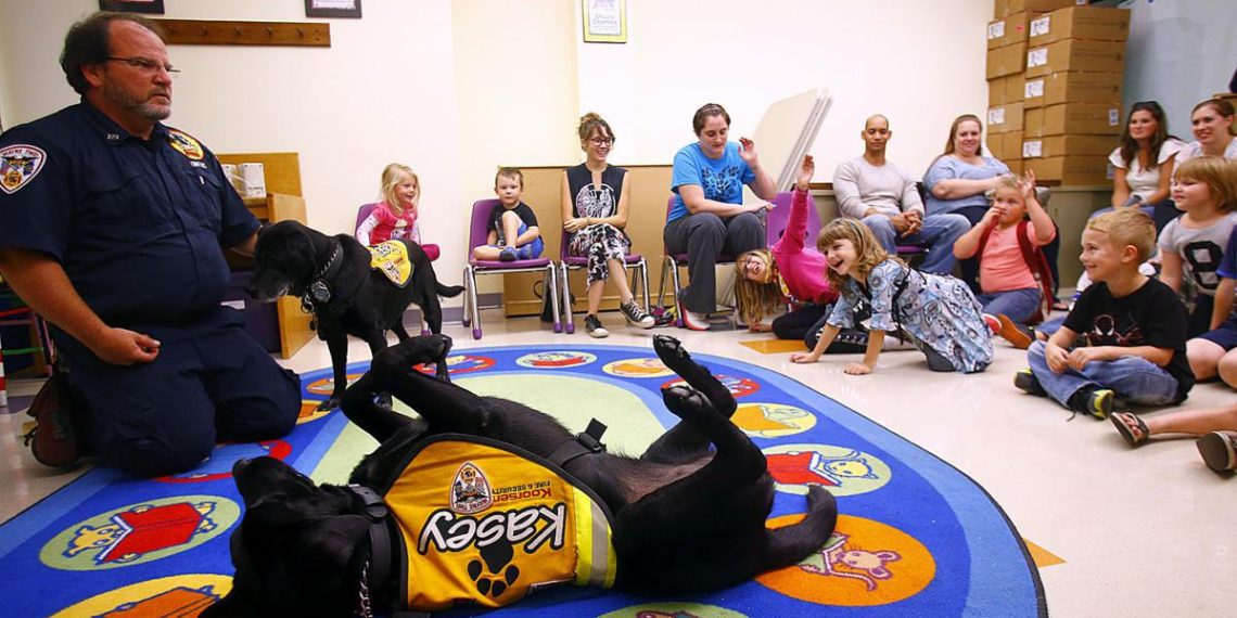 Kasey Taught Me — Koorsen’s Fire & Life Safety Dogs Save Lives